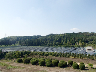 第一太陽光発電所